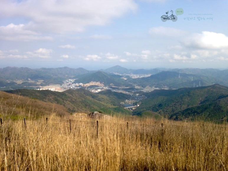 IMG_2073_Wide1080mark%EB%B0%94%EB%9E%8C.jpg?type=w773