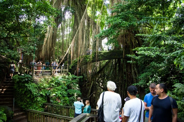 5D_IMG_1783_Short1200mark%EB%B0%94%EB%9E%8C.jpg?type=w773