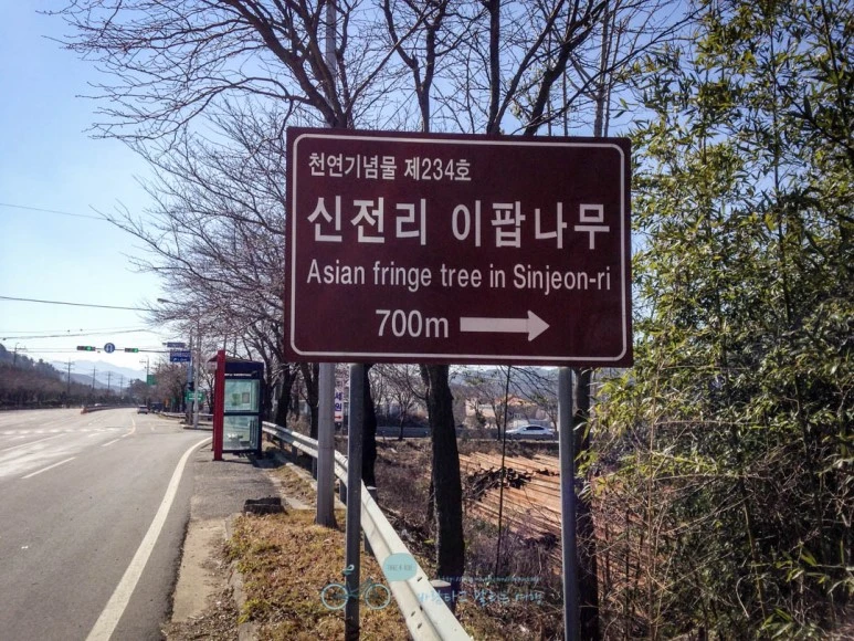 IMG_1715-_Wide1080mark.jpg?type=w773