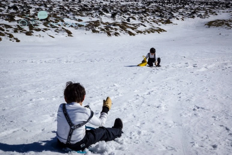 DSC00169_3.jpg?type=w773