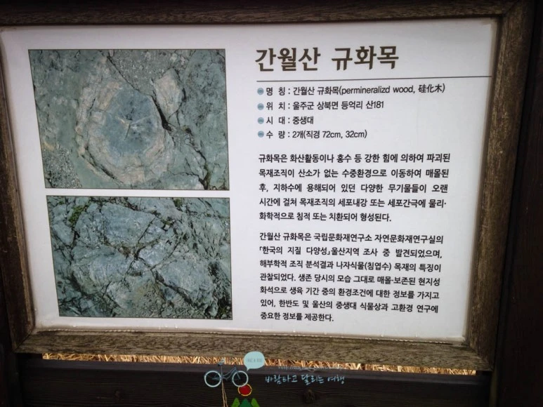 IMG_1941-_Wide1080mark.jpg?type=w773