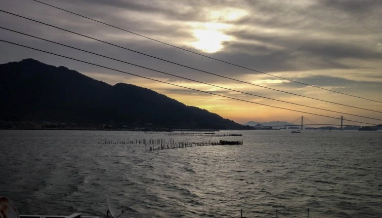 image_4149463291502367950712.jpg?type=w773