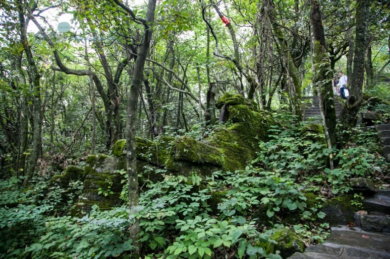 IMG_0375_Wide1080mark%EB%B0%94%EB%9E%8C.jpg?type=w773