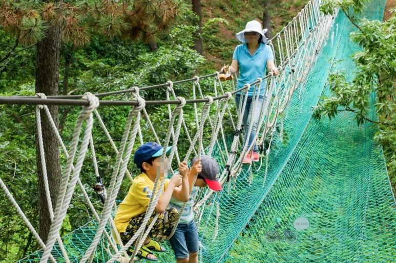 image_981733821477891064358.jpg?type=w773