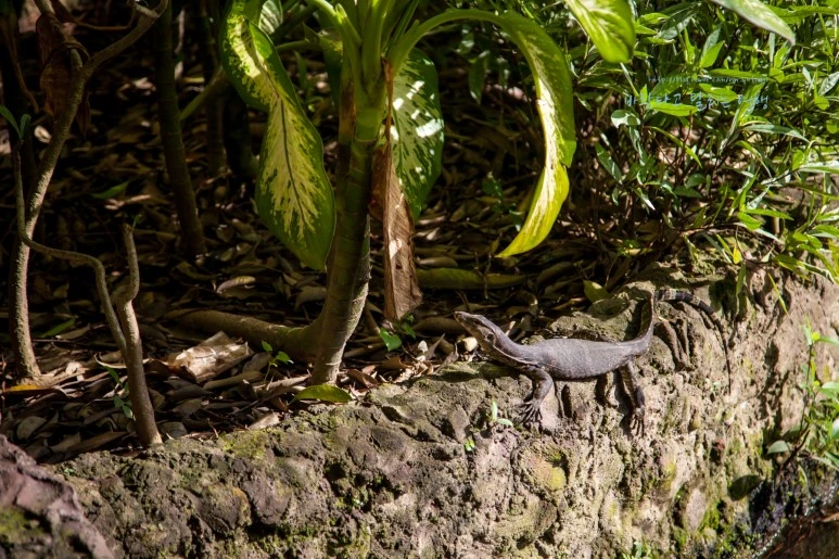 5D_IMG_1678_Short1200mark%EB%B0%94%EB%9E%8C.jpg?type=w773