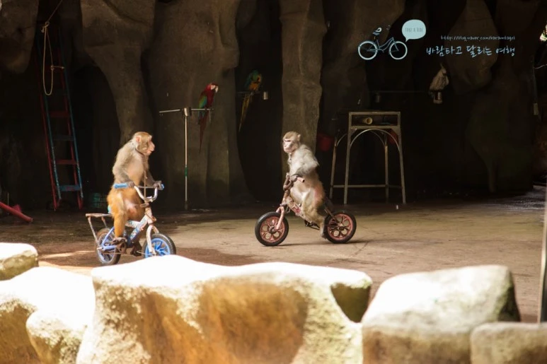 IMG_1403_wide1080%EB%B0%94%EB%9E%8Cmark.jpg?type=w773