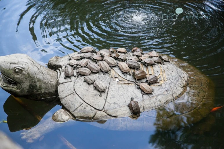 IMG_1273_Wide1080mark%EB%B0%94%EB%9E%8C.jpg?type=w773