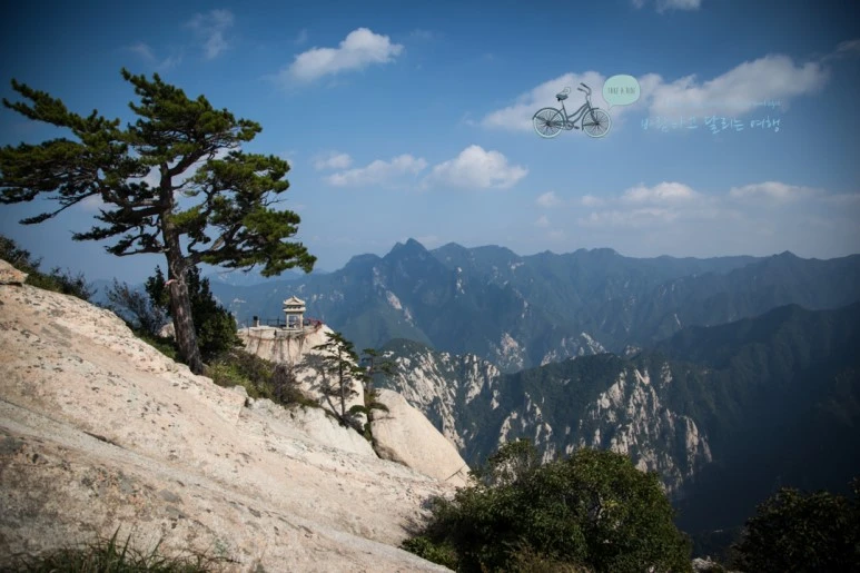 IMG_0294_Wide1080_mark%EB%B0%94%EB%9E%8C.jpg?type=w773