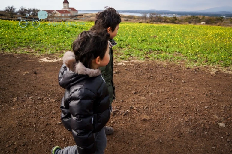 DSC00244_3.jpg?type=w773