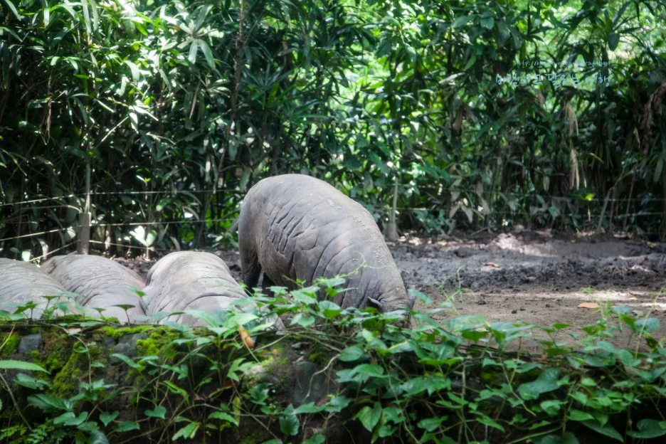 5D_IMG_2679_Short1200mark%EB%B0%94%EB%9E%8C.jpg?type=w1