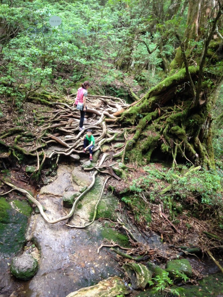 IMG_1480_wide1080.jpg?type=w773