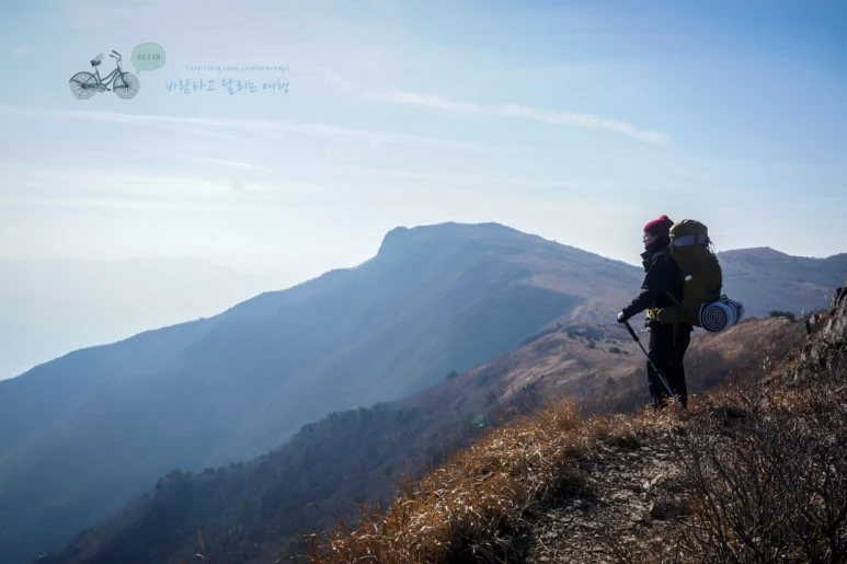 DSC04579_wide1080mark.jpg?type=w773