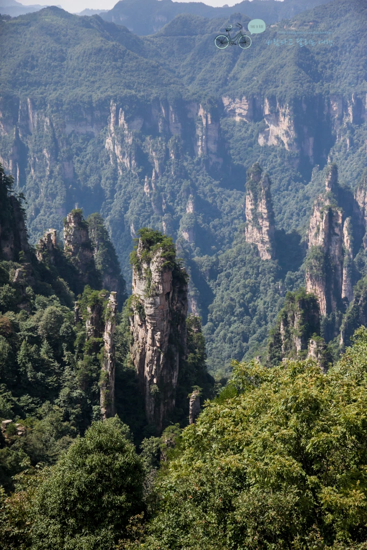 IMG_1216_Wide1080mark%EB%B0%94%EB%9E%8C.jpg?type=w773