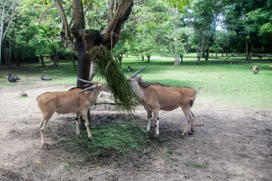 5D_IMG_2707_Short1200mark%EB%B0%94%EB%9E%8C.jpg?type=w1