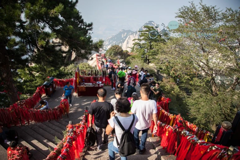 IMG_0330_Wide1080_mark%EB%B0%94%EB%9E%8C.jpg?type=w773