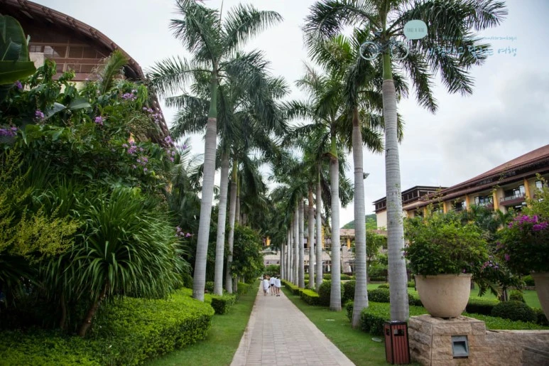 IMG_1899_wide1080%EB%B0%94%EB%9E%8Cmark.jpg?type=w773