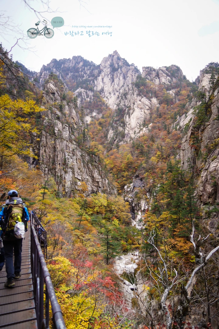 DSC05624_wide1080mark.jpg?type=w773