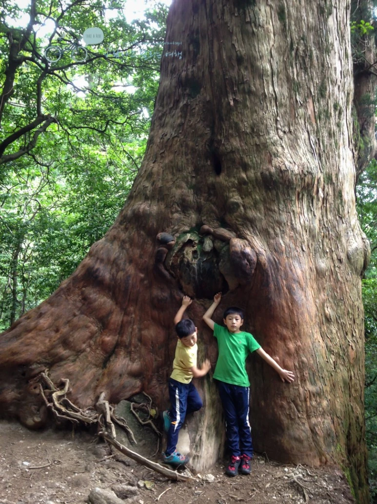 IMG_1486_wide1080.jpg?type=w773