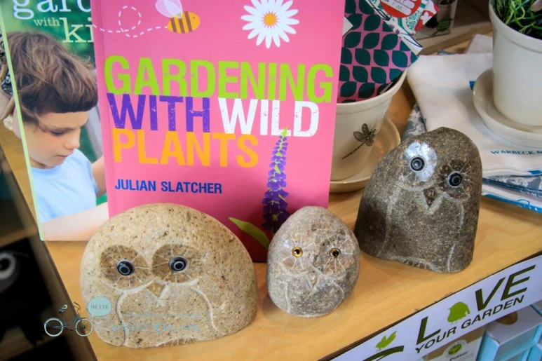 IMG_3137.jpg?type=w773