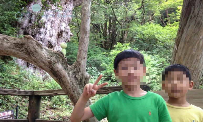 image_7769630861486451450058.jpg?type=w773