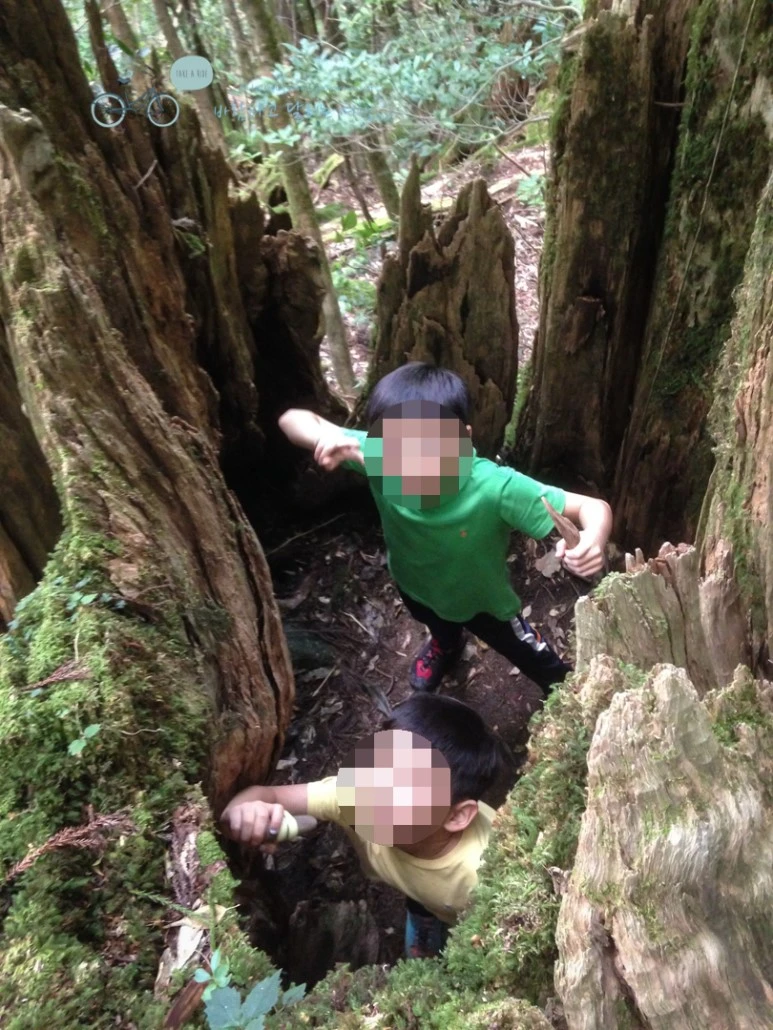 image_9651812931486446636509.jpg?type=w773