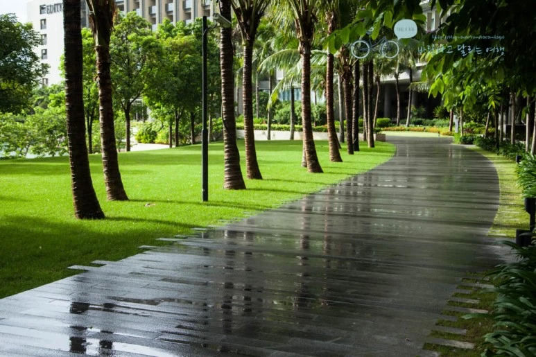 IMG_1024_wide1080%EB%B0%94%EB%9E%8Cmark.jpg?type=w773