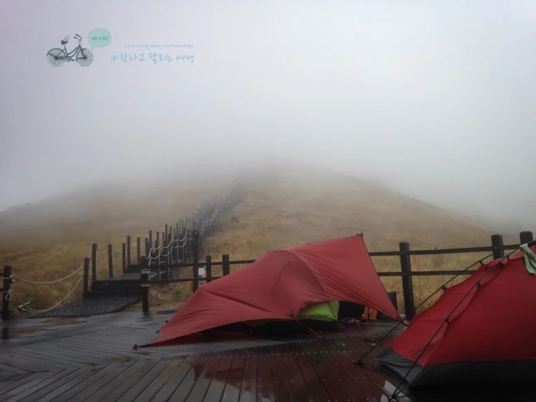 IMG_0787_wide1080mark.jpg?type=w773