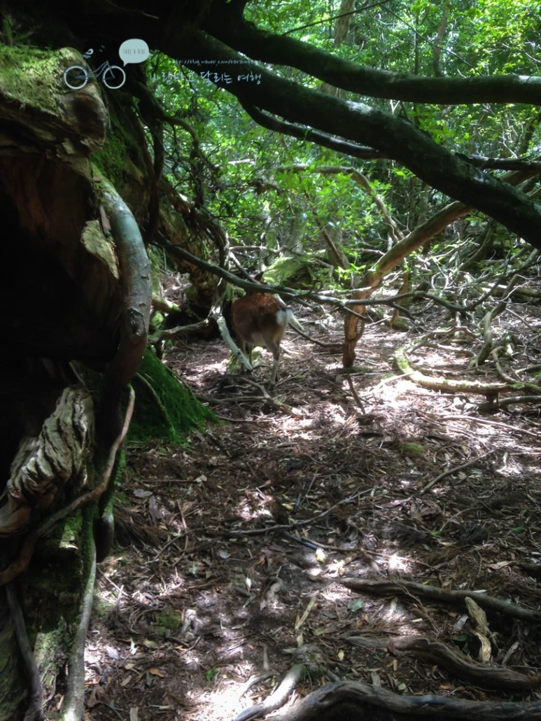 IMG_1393_wide1080.jpg?type=w773