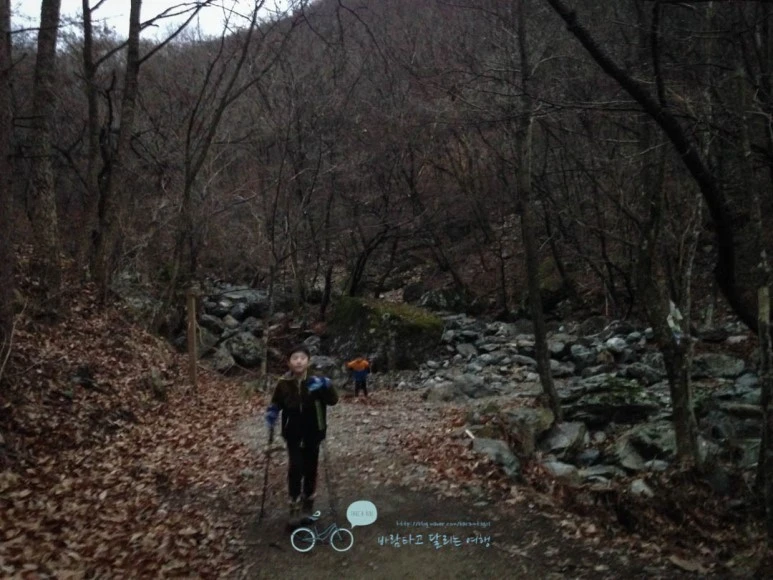 IMG_1523_%281%29-_Wide1080mark.jpg?type=w773