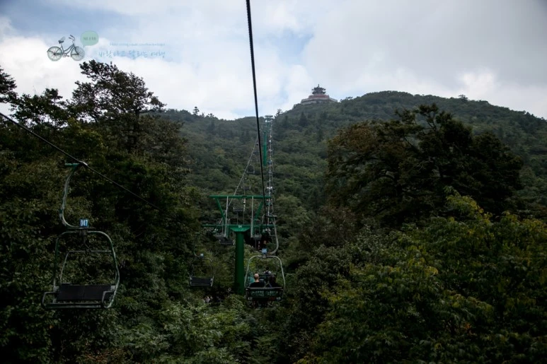 IMG_0342_Wide1080mark%EB%B0%94%EB%9E%8C.jpg?type=w773