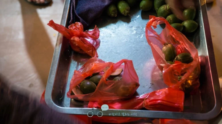 _1040572_Edit-_Wide1080mark%EB%B0%94%EB%9E%8C.jpg?type=w773