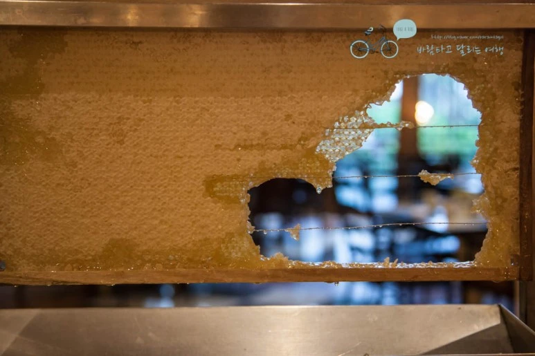 IMG_0018_wide1080%EB%B0%94%EB%9E%8Cmark.jpg?type=w773