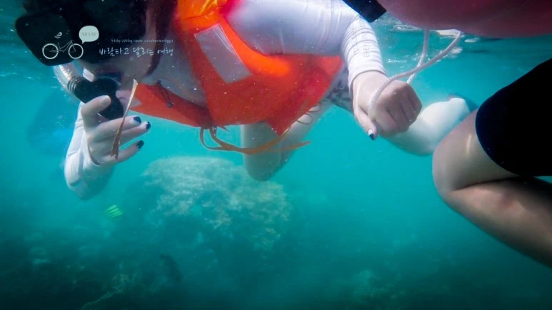 IMG_26_Wide1080mark%EB%B0%94%EB%9E%8C%ED%83%80%EA%B3%A0.jpg?type=w773