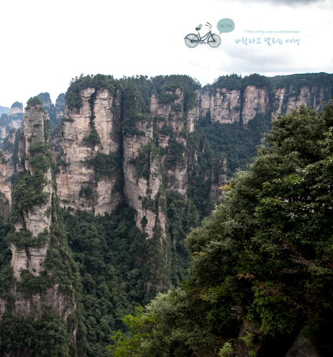 image_582684271527140435309.jpg?type=w773