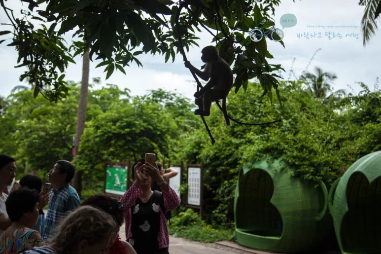 IMG_1306_wide1080%EB%B0%94%EB%9E%8Cmark.jpg?type=w773