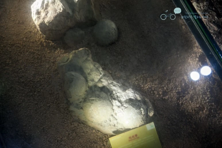 IMG_1392_Wide1080mark%EB%B0%94%EB%9E%8C.jpg?type=w773