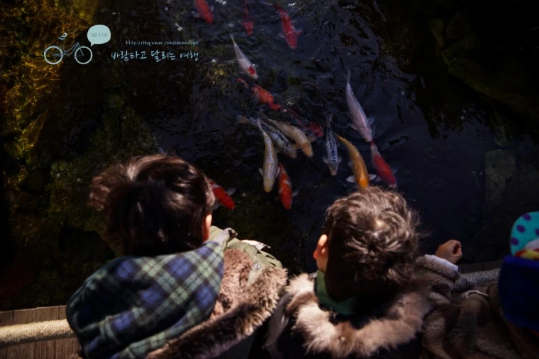 DSC00044_5.jpg?type=w773