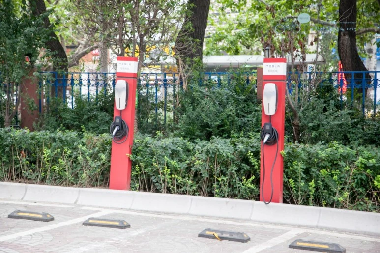 IMG_0501_Wide1080mark%EB%B0%94%EB%9E%8C.jpg?type=w773