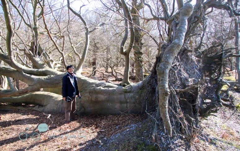 IMG_3594.jpg?type=w773