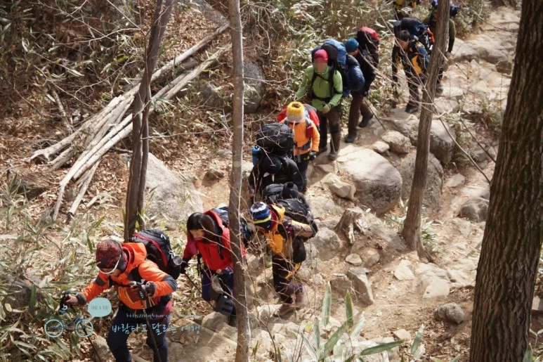 image_3886519681476335346403.jpg?type=w773