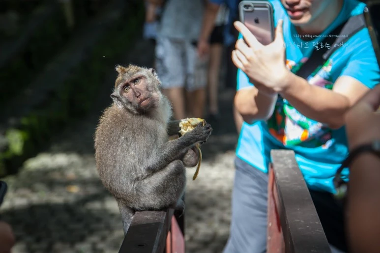 5D_IMG_1708_Short1200mark%EB%B0%94%EB%9E%8C.jpg?type=w773