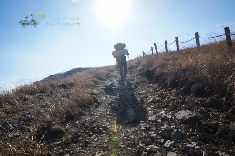 DSC04597_wide1080mark.jpg?type=w773