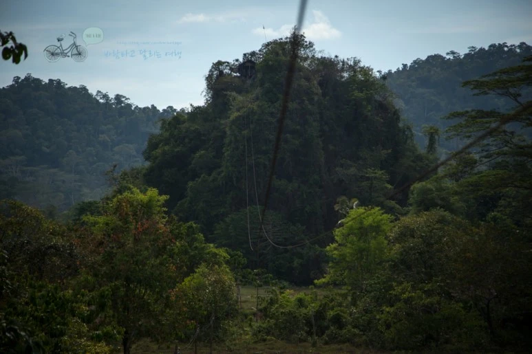 IMG_0619_Wide1080mark%EB%B0%94%EB%9E%8C%ED%83%80%EA%B3%A0.jpg?type=w773