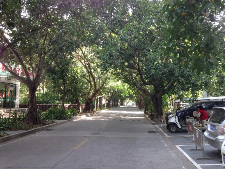 IMG_2672.JPG?type=w773