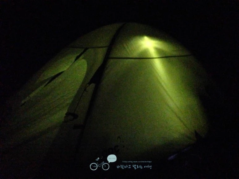 IMG_1257-_Wide1080mark%EB%B0%94%EB%9E%8C.jpg?type=w773