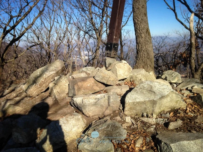 IMG_1407-_Wide1080mark%EB%B0%94%EB%9E%8C.jpg?type=w773