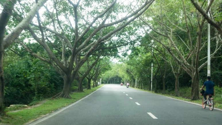 DSC05740_wide1080mark%EB%B0%94%EB%9E%8C.jpg?type=w773