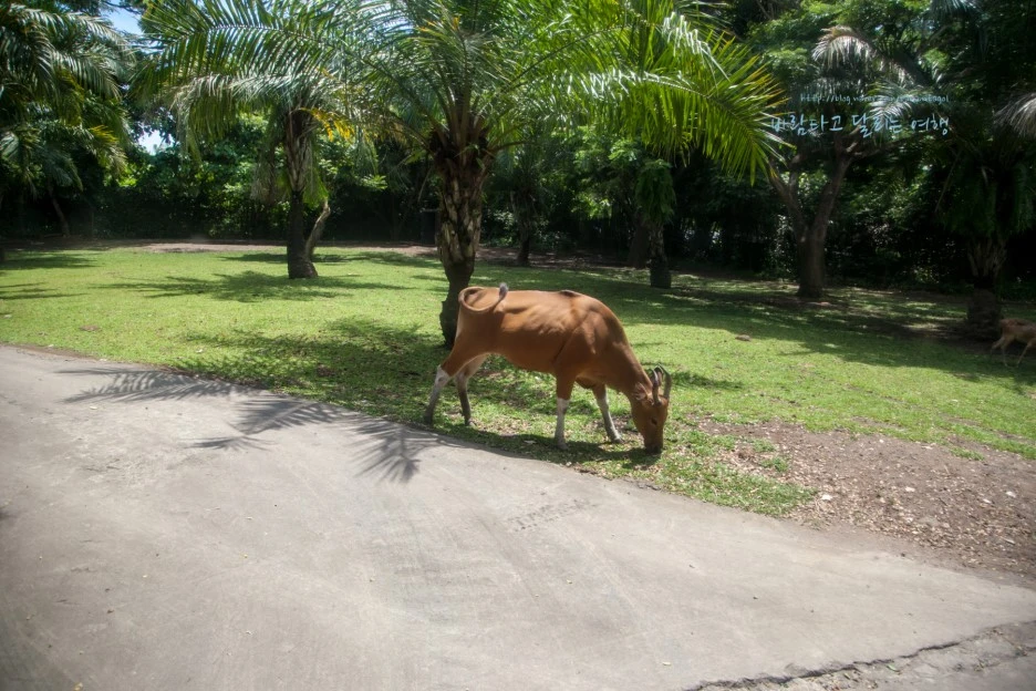 5D_IMG_2690_Short1200mark%EB%B0%94%EB%9E%8C.jpg?type=w1