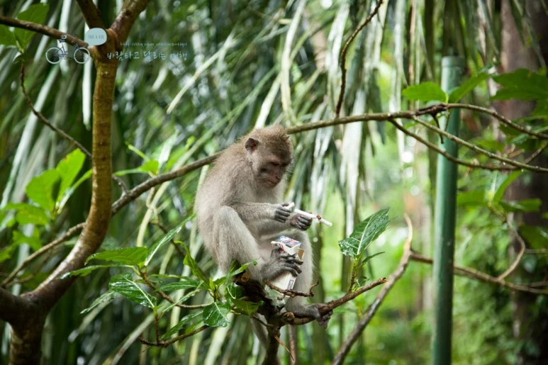 IMG_0171_Wide1080mark%EB%B0%94%EB%9E%8C%ED%83%80%EA%B3%A0-3.jpg?type=w773