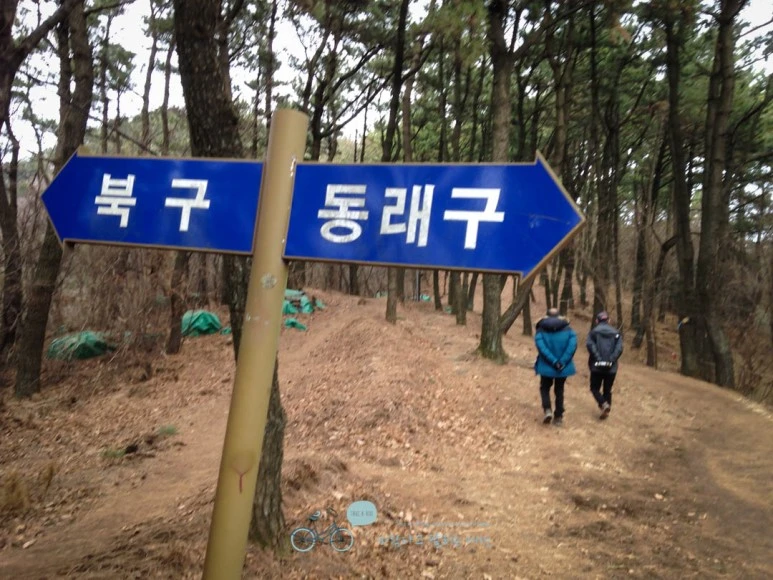 IMG_1307-_Wide1080mark%EB%B0%94%EB%9E%8C.jpg?type=w773